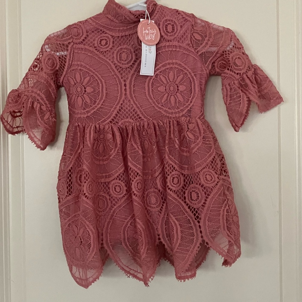 NWT Bailey’s Blossoms Lace Mauve Dress Sz 3-6 Months